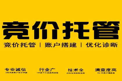 探索SEM托管公司的成功之路：以数据驱动营销